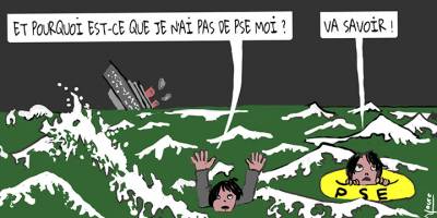 Licenciement économique : le salarié privé du PSE peut-il obtenir des dommages-intérêts ?